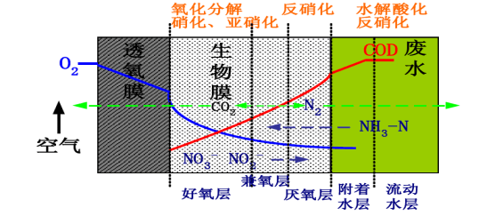 2023-11-22T07:53:52.png
