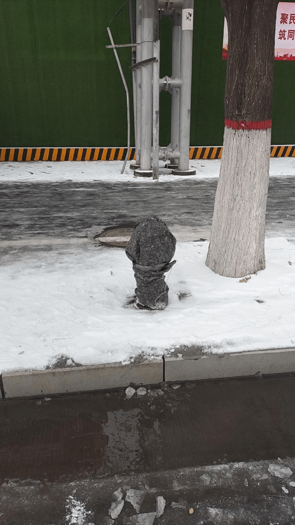2024-01-08T07:59:25.png