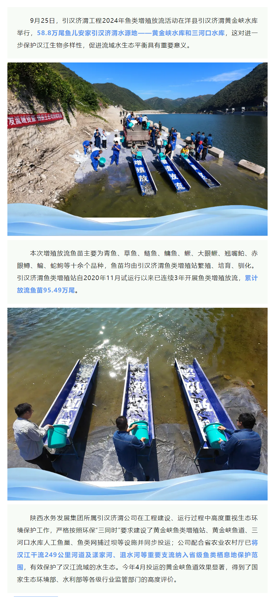 58.8萬(wàn)尾魚(yú)兒安家引漢濟(jì)渭水源地.png
